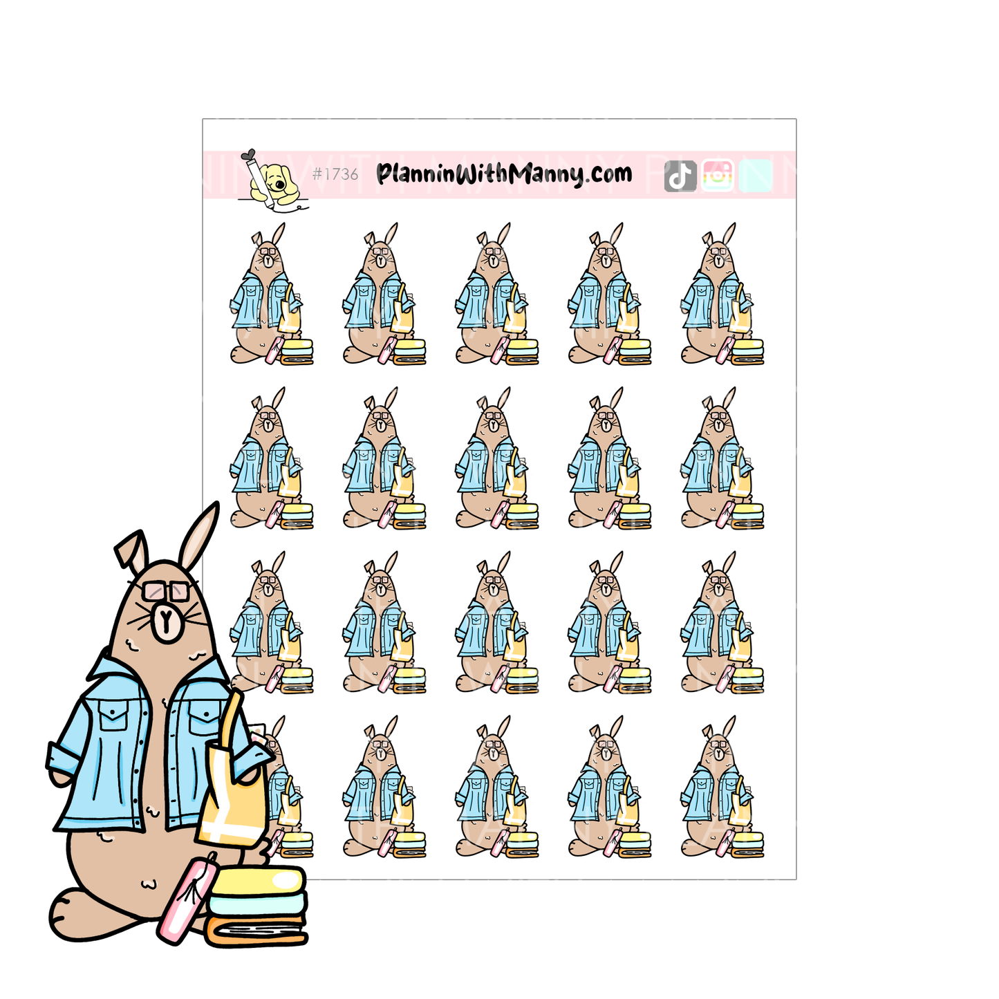 1736 I've Got Plans Grumpy Buns Planner Stickers