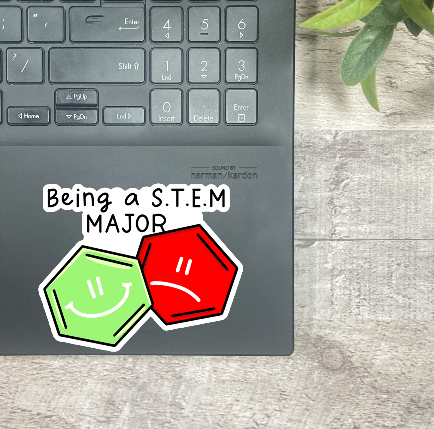 Being a S.T.E.M. ... Vinyl Sticker, Magnetic Bookmark, & Notecard MB85