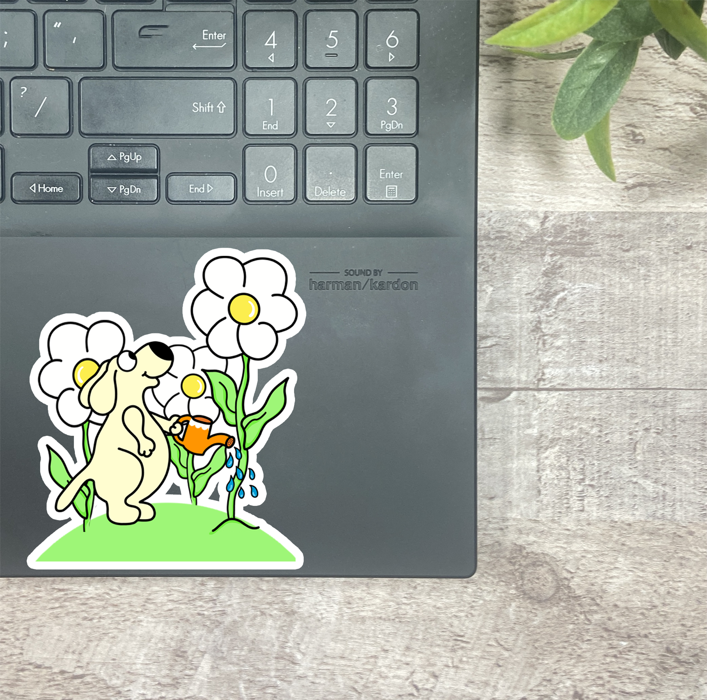 Watering Daisies... Vinyl Sticker, Magnetic Bookmark, & Notecard MB69