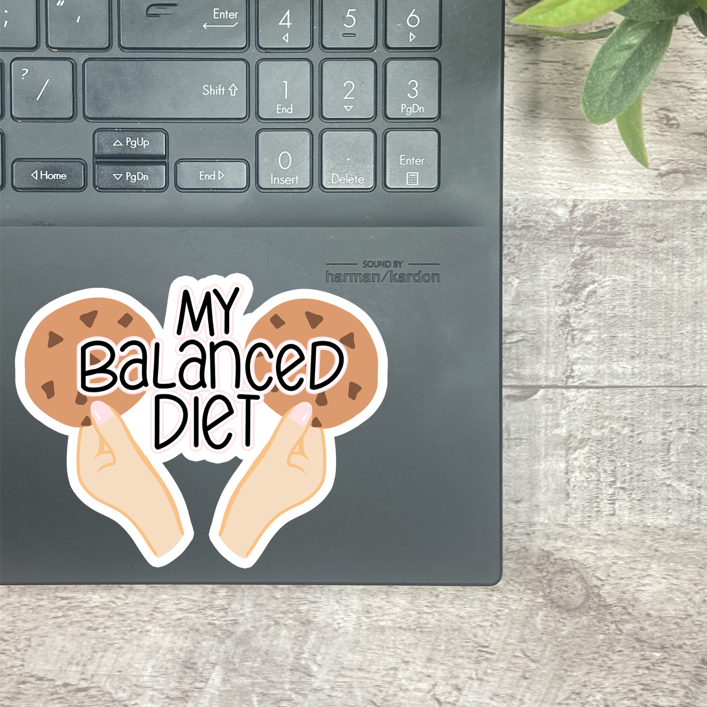 MB156 My Balanced Diet Vinyl Sticker