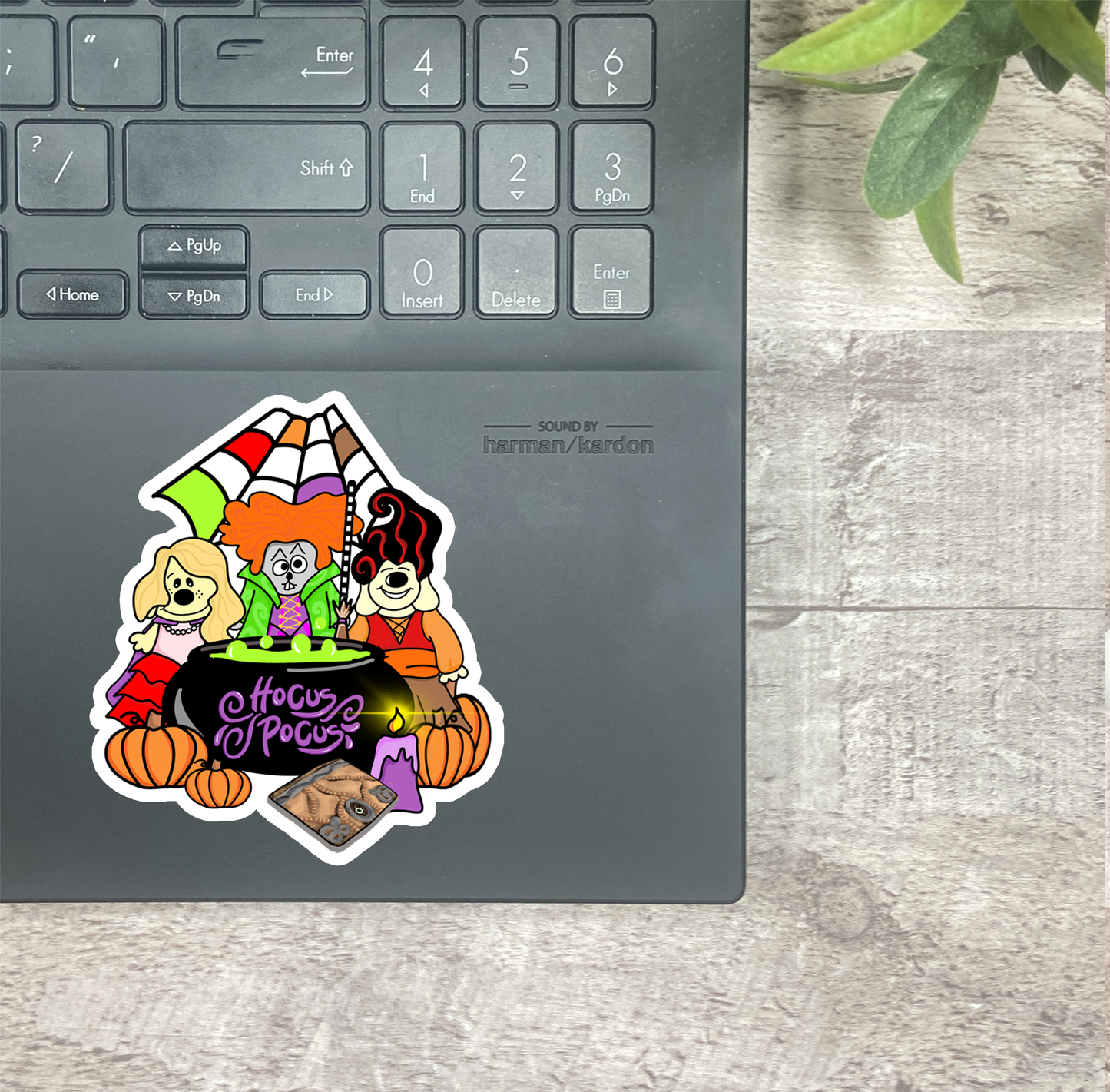 Hocus Pocus...Vinyl Sticker, Magnetic Bookmark, & Notecard MB24