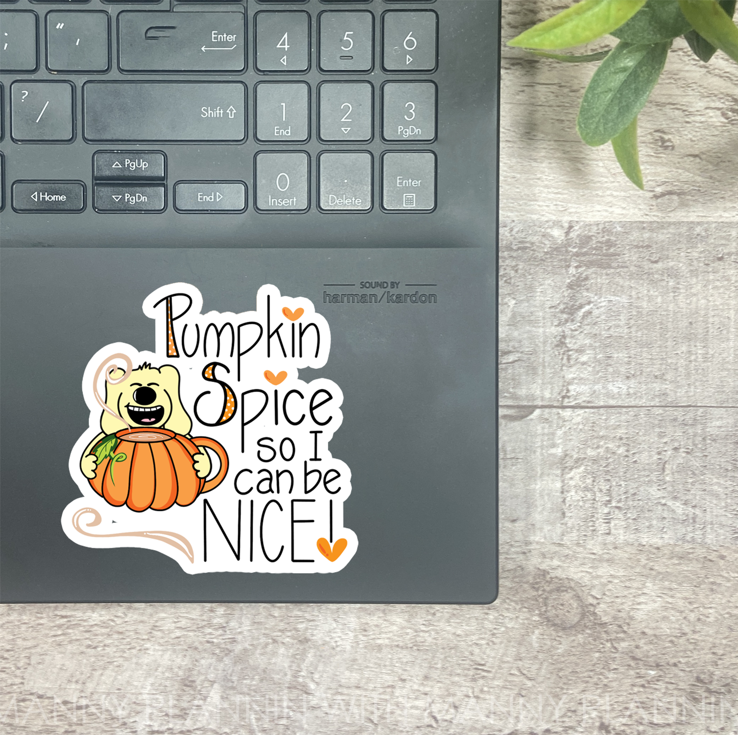 Pumpkin Spice so I can be NICE... Vinyl Sticker, Magnetic Bookmark, & Notecard MB48