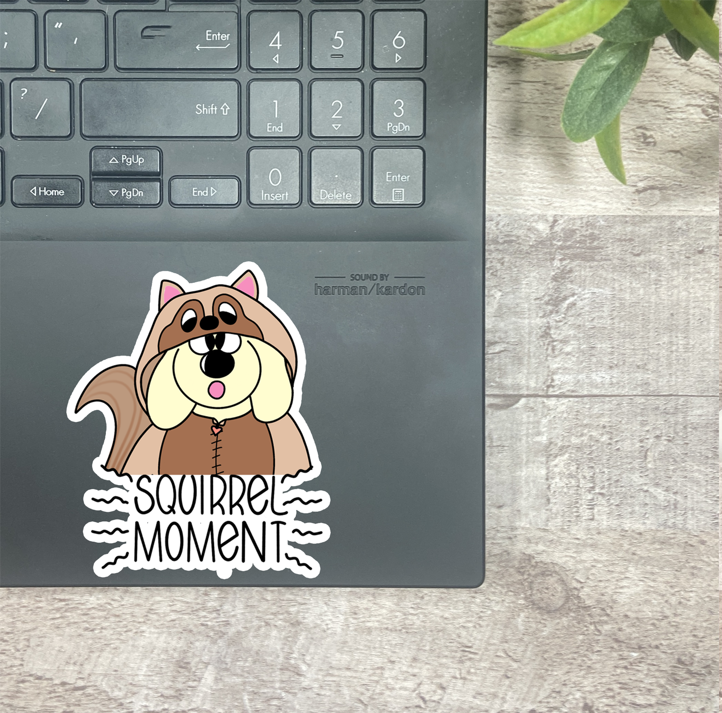 Squirrel Moment... Vinyl Sticker, Magnetic Bookmark, & Notecard MB76