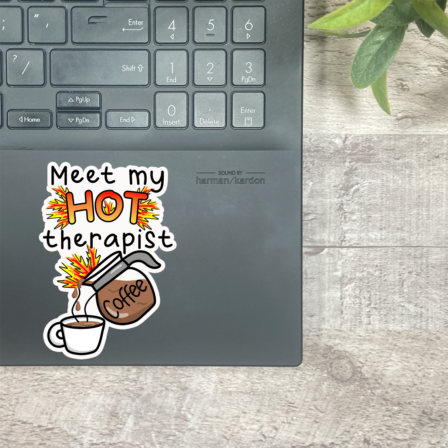 Meet my HOT Therapist Vinyl Sticker, Magnetic Bookmark, & Notecard MB87