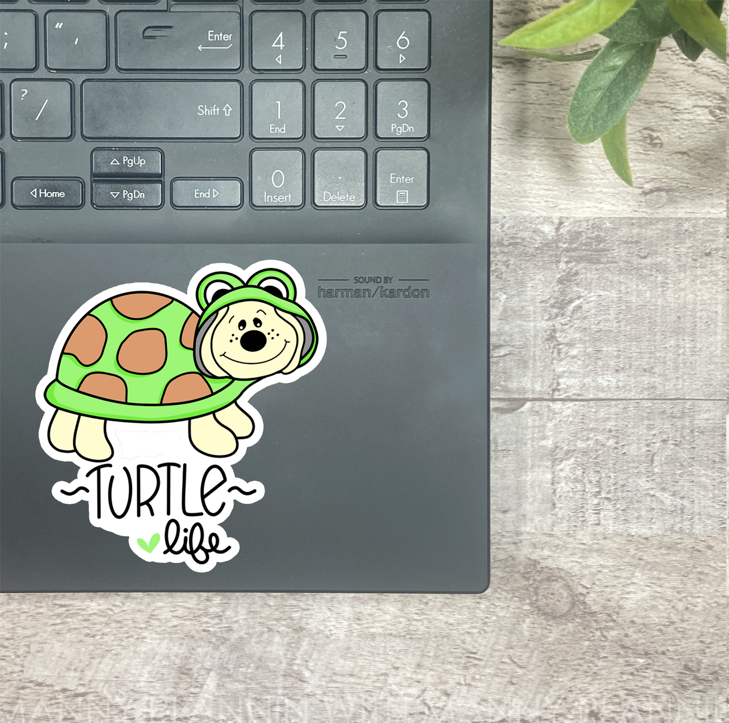 Turtle Life... Vinyl Sticker, Magnetic Bookmark, & Notecard MB56